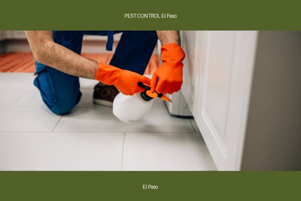 PEST CONTROL El Paso